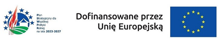 Logotypy "Dofinansowane przez Unię Europejską"